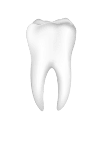 cavity:
