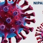 Nipah Virus: Signs, Symptoms, Spread and Prevention