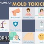Mold Exposure Symptoms: What Damp and Mold Can Really Do to Your Health