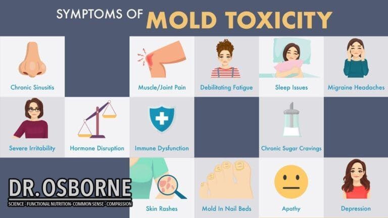 Mold Exposure Symptoms: What Damp and Mold Can Really Do to Your Health