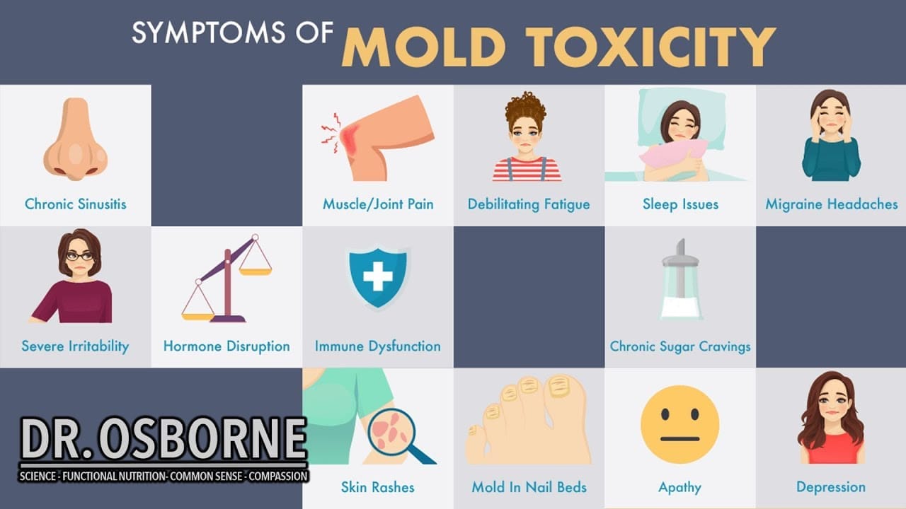 Signs of Mold Toxicity