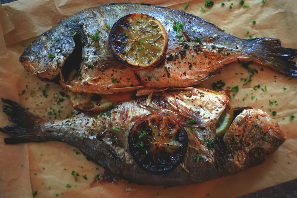 Grilled salmon fillet with lemon slices and fresh herbs on a white plate