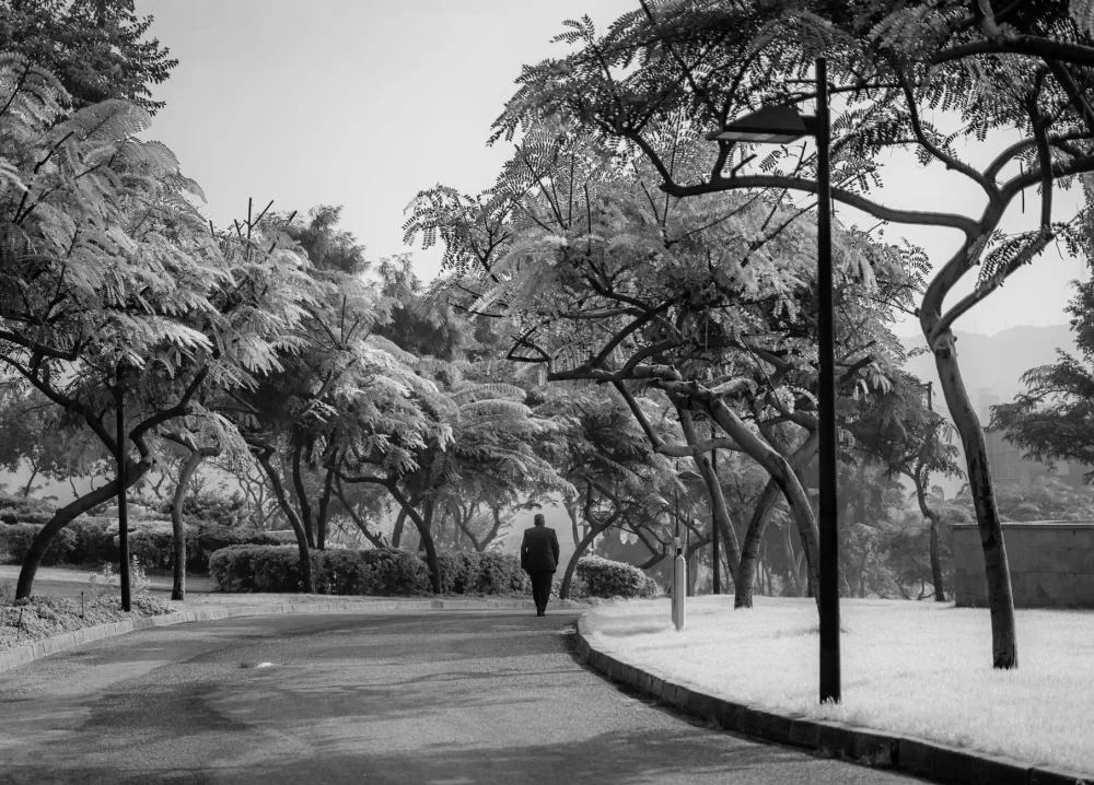 Man walking briskly in park as part of sustainable daily movement for weight loss