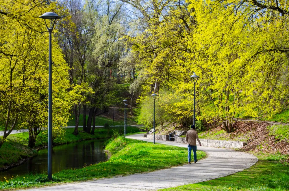 Man walking briskly through a park on a sunny morning for daily movement