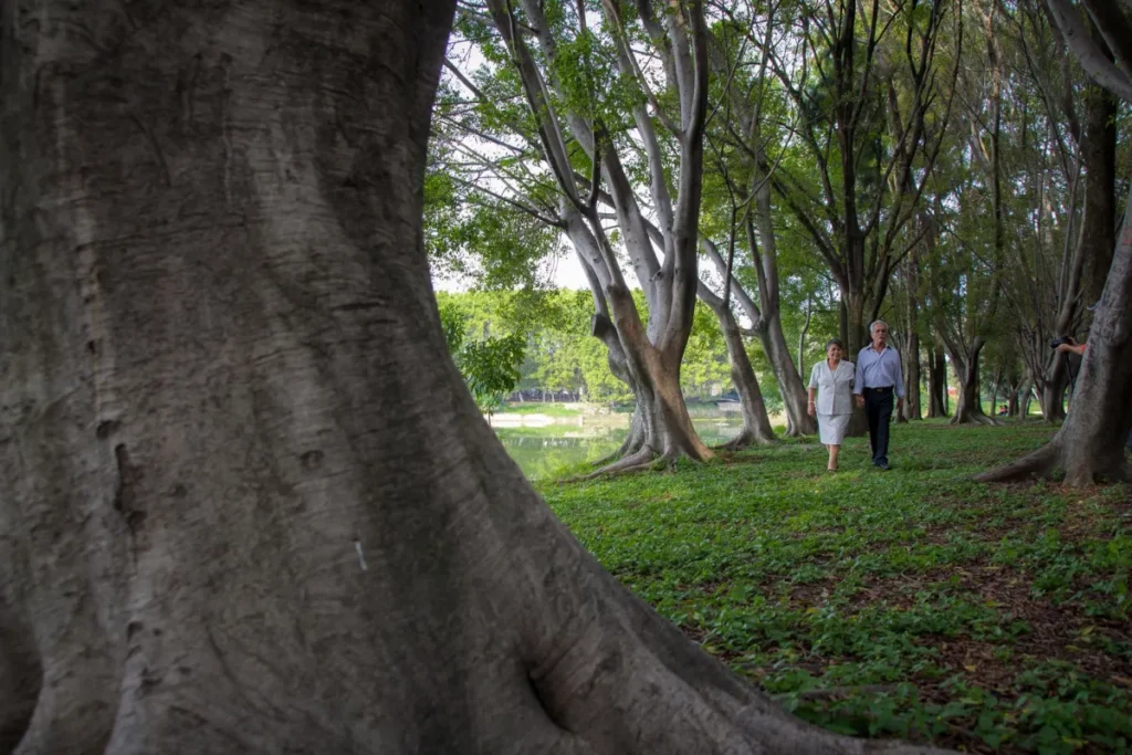 Middle-aged couple walking outdoors as part of a healthy lifestyle for preventing dementia