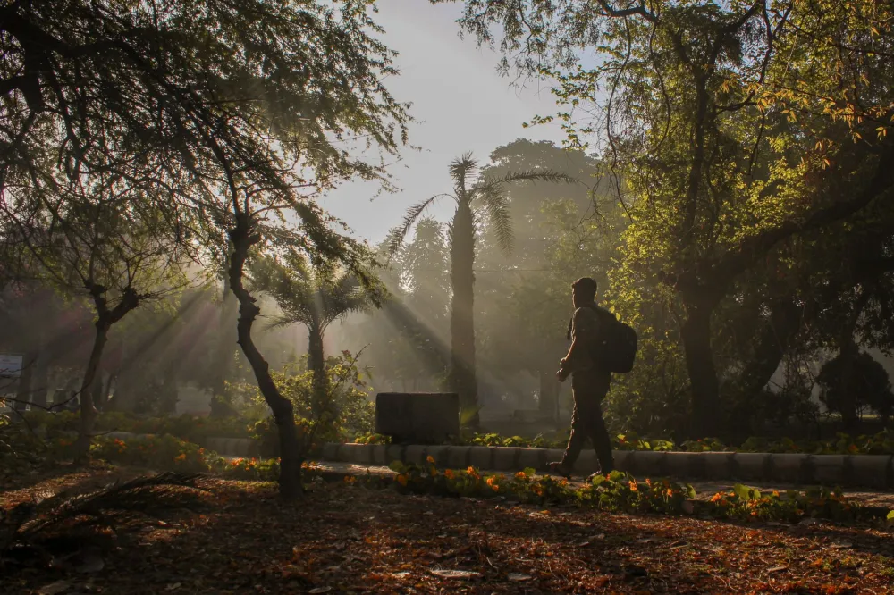 Man walking in park as low-impact exercise strategy to overcome weight loss plateau