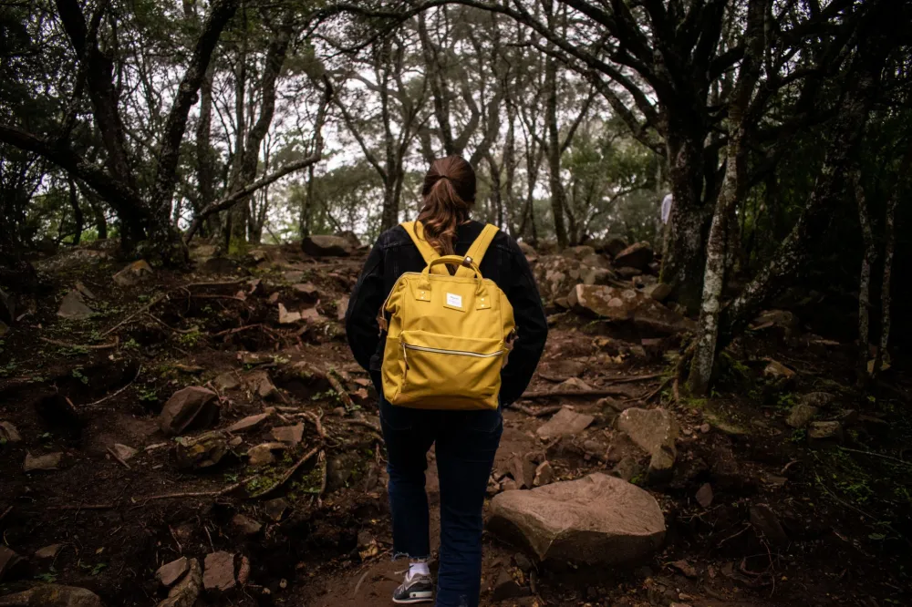 10,000 Steps a Day: What the Science Really Says 5 Person walking on a scenic trail surrounded by trees during a healthy outdoor workout