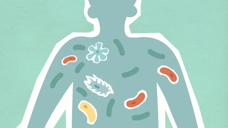 Salmonella & Cellular Stress: What Your Body Does to Fight Back