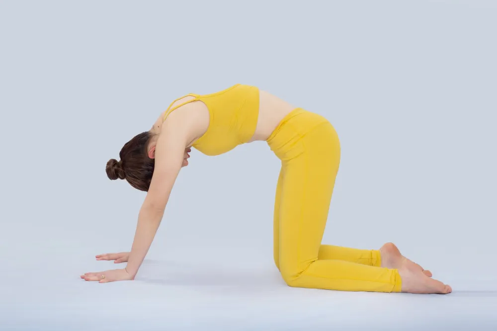 Yoga Poses That Ease Lower Back Tension: What Works 3 Woman on hands and knees doing cat-cow yoga stretch for lower back pain
