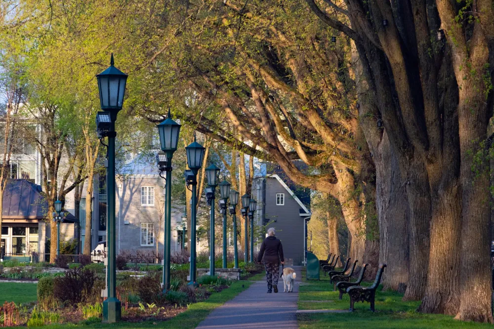 Woman walking in a park in the morning as part of a longevity and sleep health habit