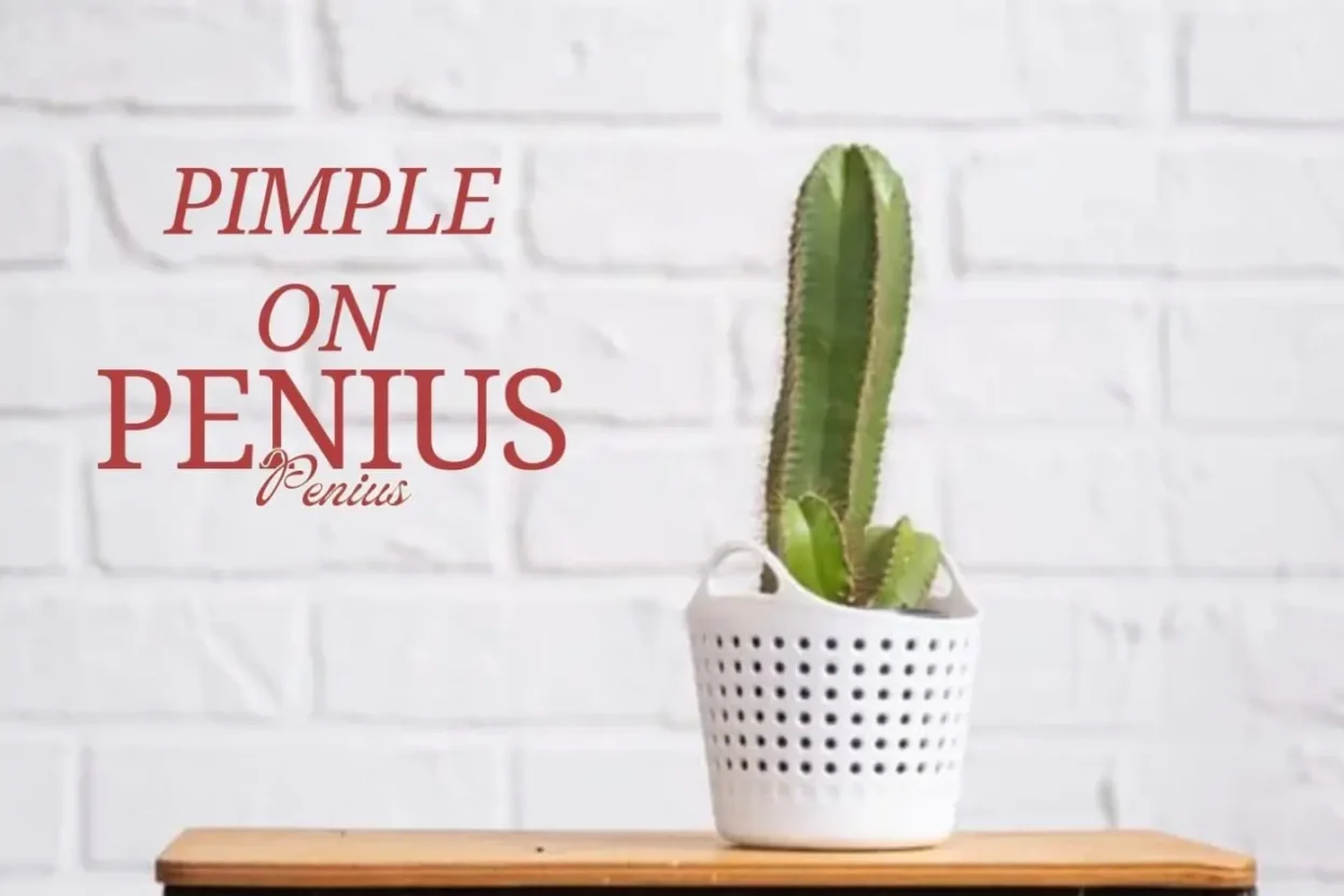 pimple on penis
